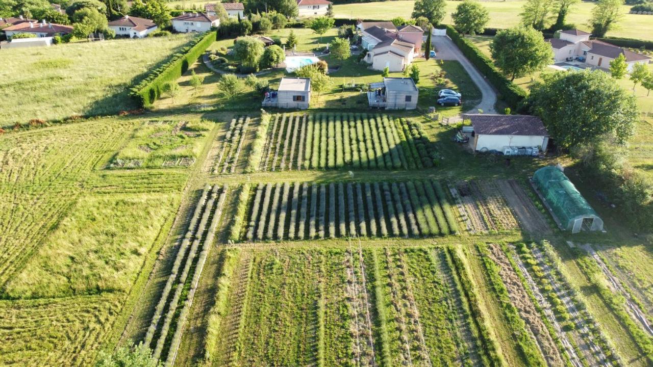 Domaine D'Elusa Vic-Fezensac Εξωτερικό φωτογραφία